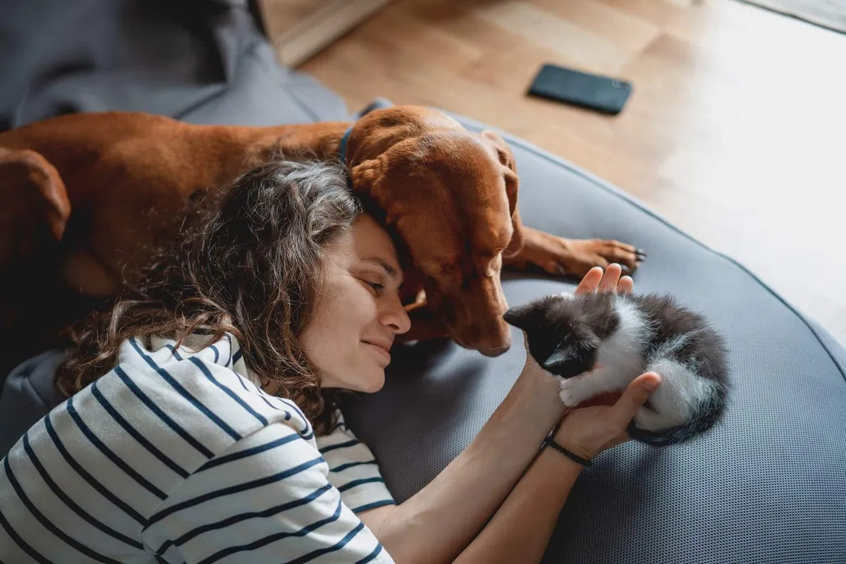Huisdieren en hun invloed op onze levenskwaliteit